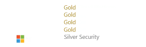 Microsoft Gold partner silver Security